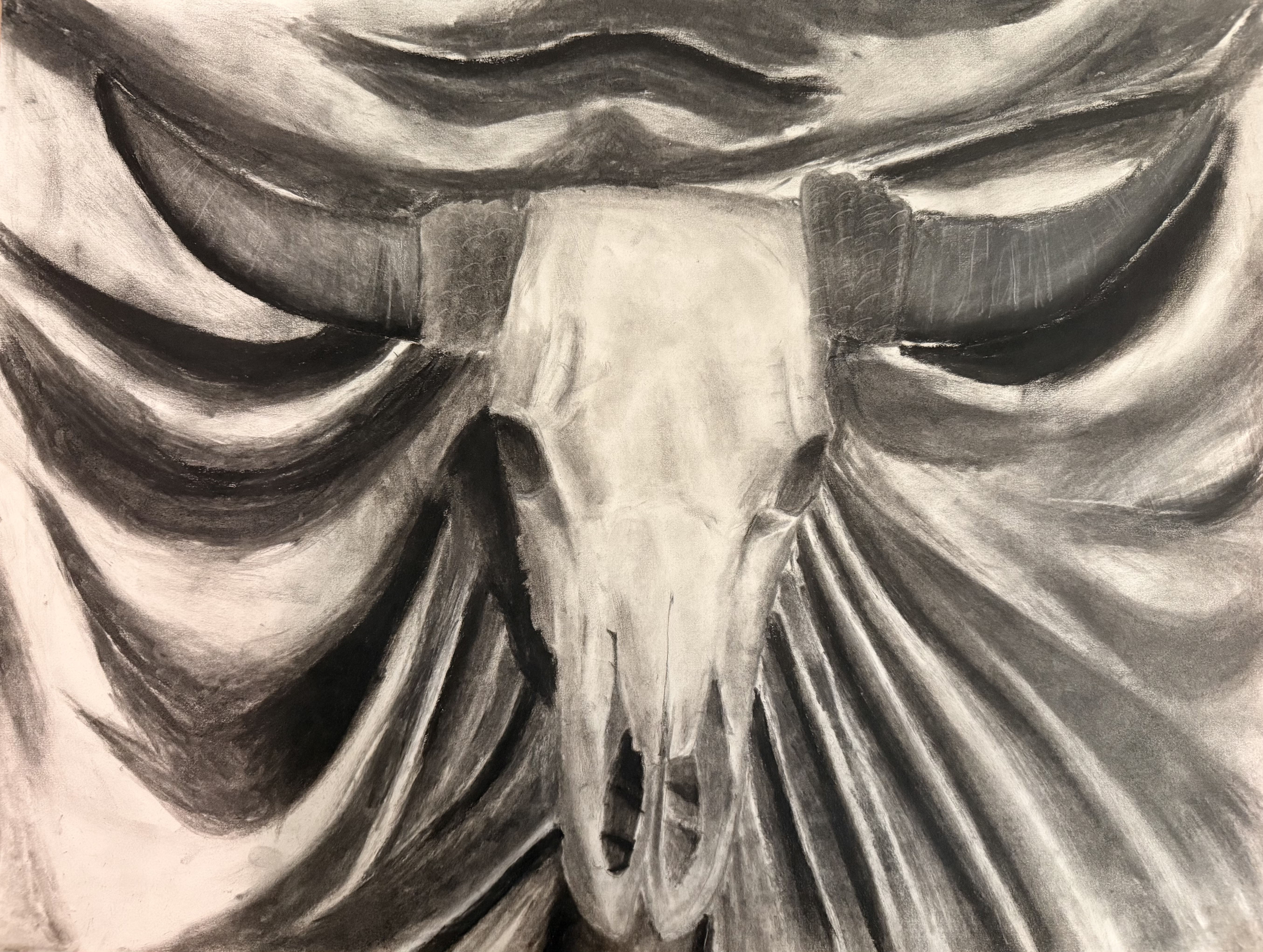 Skull